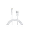 20CM USB 3.1 Type-C Male to VGA Adaptor