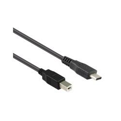 1M USB 2.0 Type-C to BM...