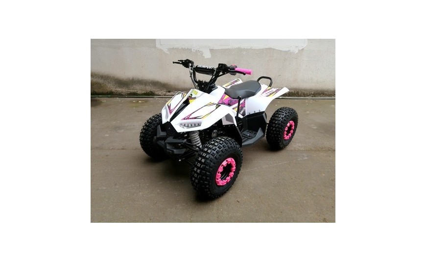Unleash Your Inner Adventurer: Discover the Benefits of Riding an ATV   
